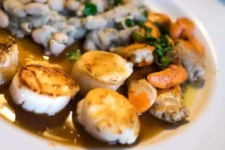 Top 5 Tasty and Easy Recipes for Scallops 1 Top 5 Tasty and Easy Recipes for Scallops 1
