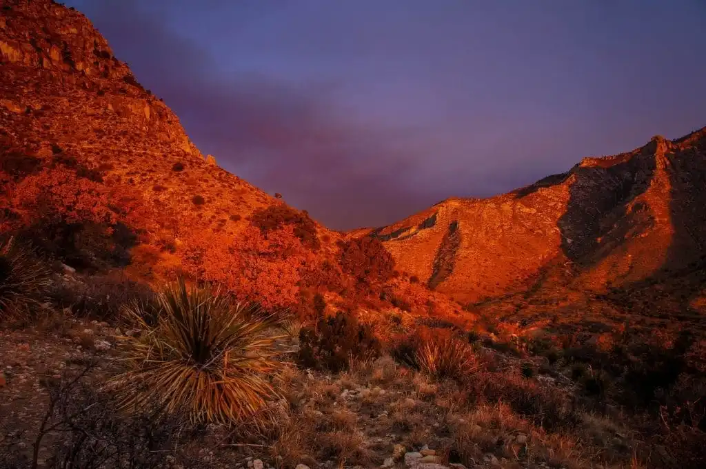 How Many National Parks Are There In The US, 42 Best National Parks To Visit 29 How many national parks are there in the US