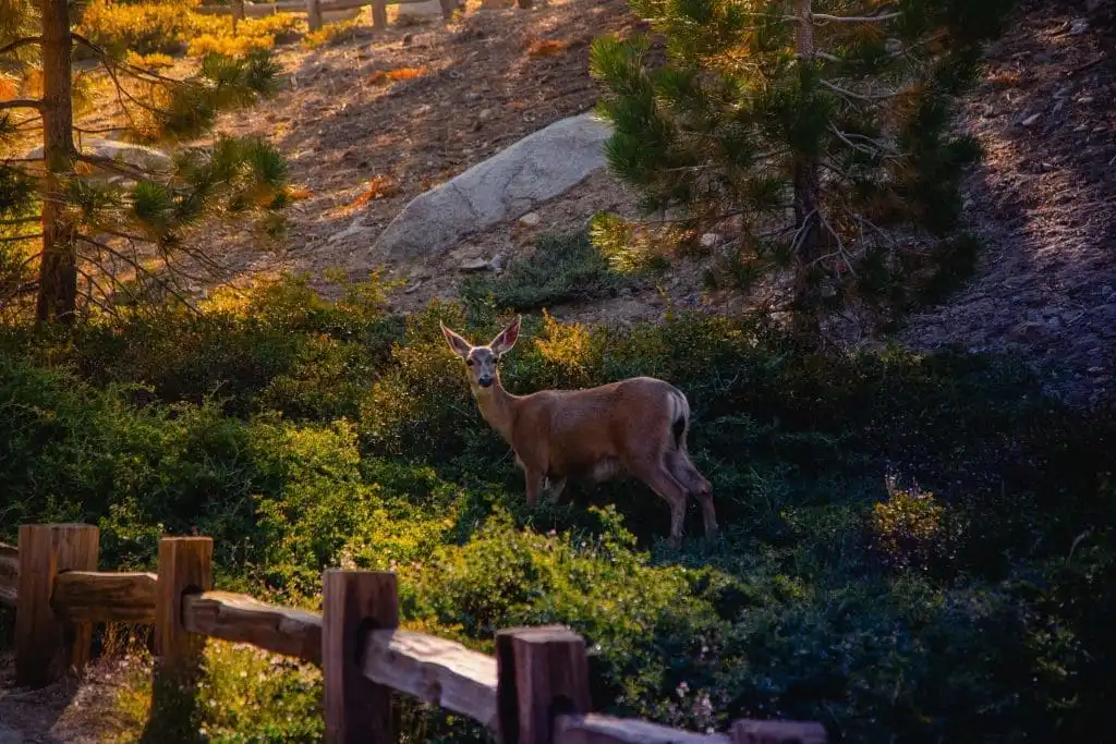How Many National Parks Are There In The US, 42 Best National Parks To Visit 15 How many national parks are there in the US
