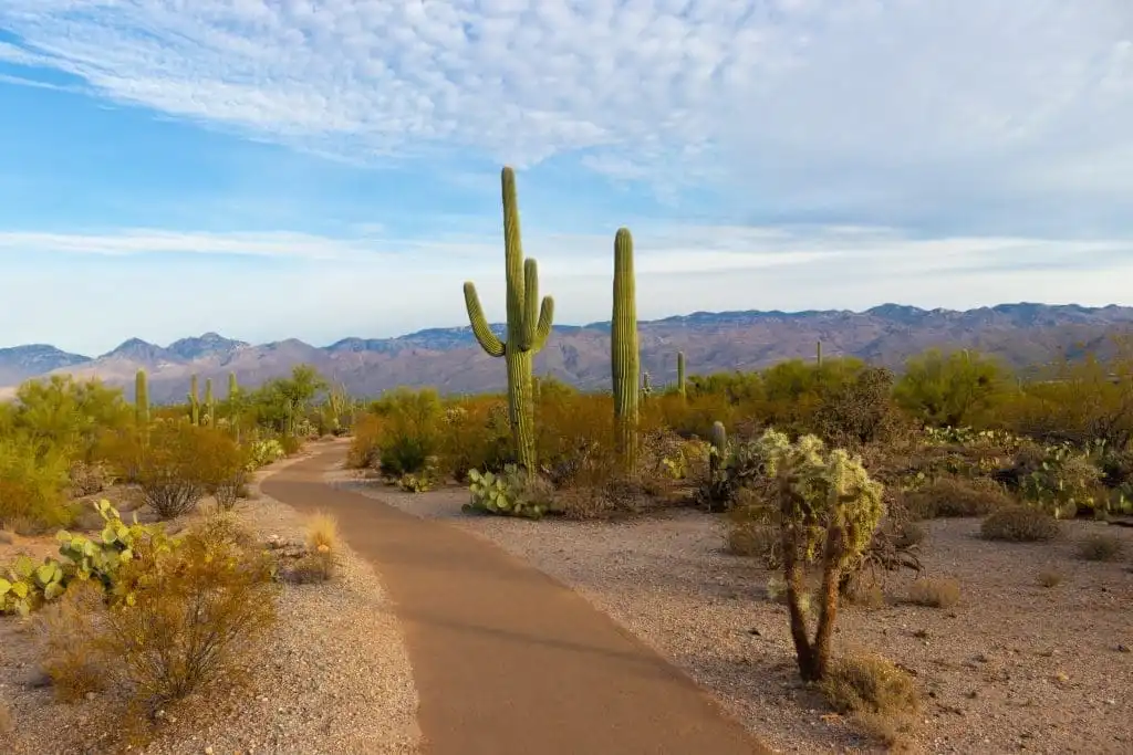 How Many National Parks Are There In The US, 42 Best National Parks To Visit 27 How many national parks are there in the world