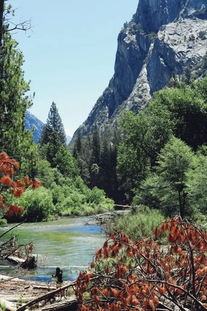 How Many National Parks Are There In The US, 42 Best National Parks To Visit 14 How many national parks are there in the US