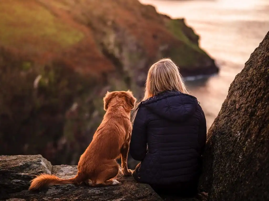 How to Invest in Yourself: 20 Best Ways 13 dog