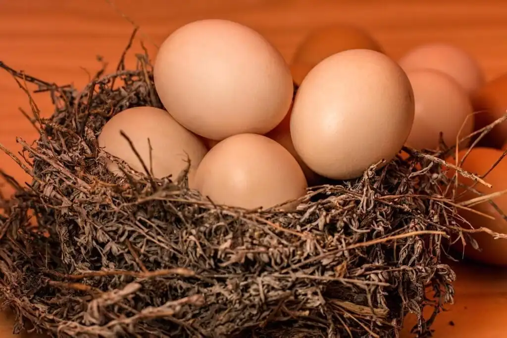 20 Amazing Breakfast Ideas for Kids 9 Eggs