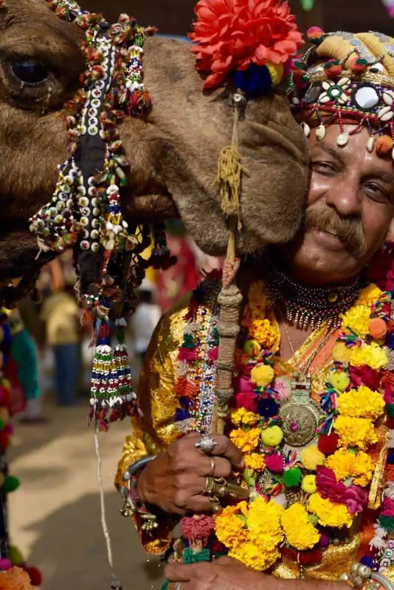 6 Amazing Things To Do In Ajmer 17 Camel fair