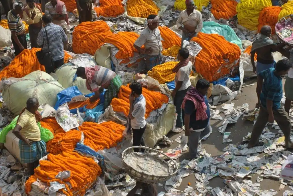 26 Things To Do In Kolkata For A Thrilling Experience 17 Flower Market