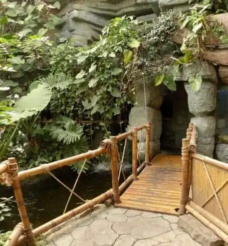 Places to visit in Nainital-A Travel Guide For 10 Best Places in Nainital! 14 Eco Cave garden