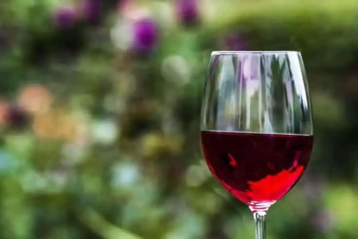 11 Stunning Ways In Which Red Wine Benefits Your Body 13 Red Wine Benefits