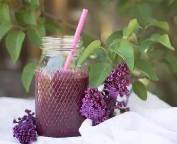 Protein Smoothies for Weight Loss- 14 Best Protein Smoothie Recipes to Try Today! 25 beetroot smoothie