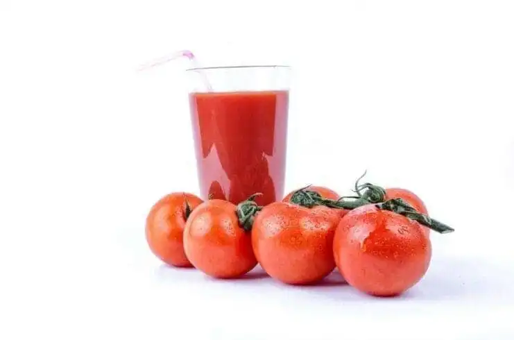 Protein Smoothies for Weight Loss- 14 Best Protein Smoothie Recipes to Try Today! 24 savoury tomato smoothie