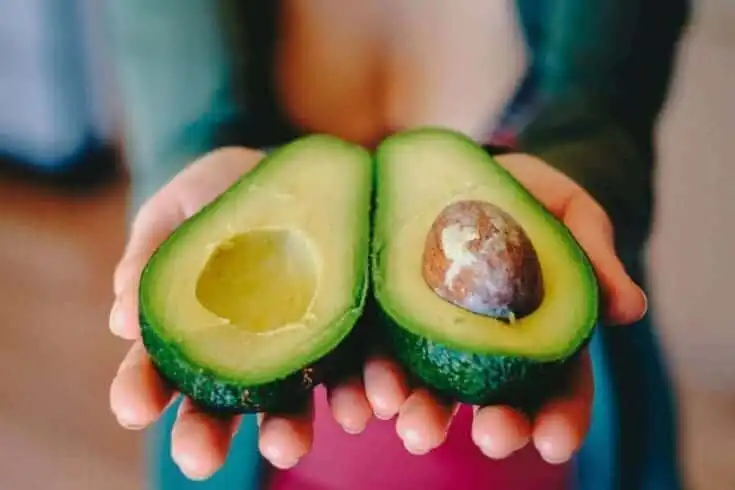 How To Gain Weight On A Vegan Diet: 10 Healthy Vegan Food Options For Weight Gain 15 how to gain weight on a vegan diet