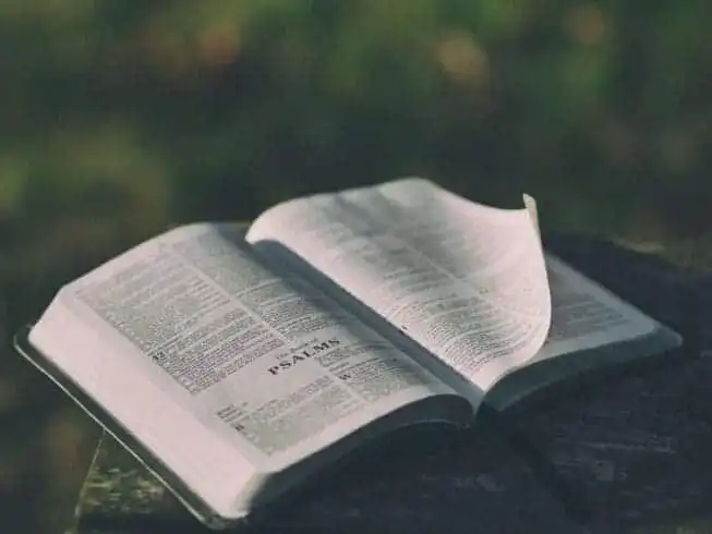 8 Best Ideas on How to annotate a book as a beginner 16 How to annotate a book