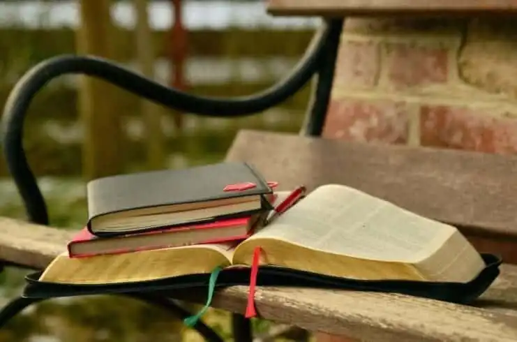 8 Best Ideas on How to annotate a book as a beginner 9 How to annotate a book