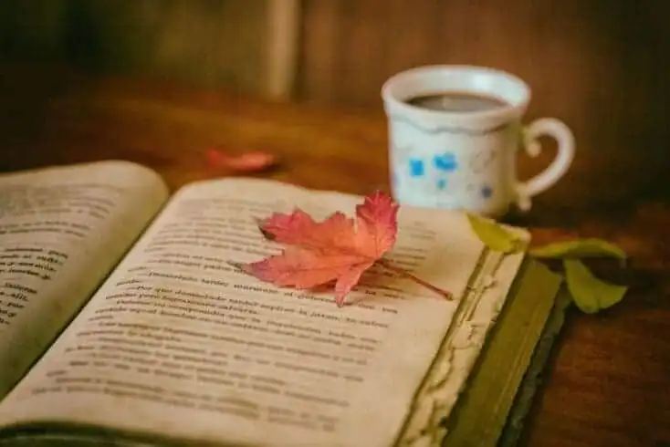 8 Best Ideas on How to annotate a book as a beginner 8 How to annotate a book