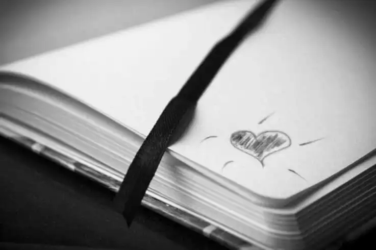8 Best Ideas on How to annotate a book as a beginner 17 How to annotate a book