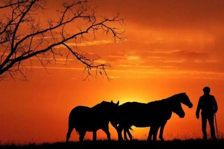 Adam and Eve Story: The Popular Tale of the First 2 Human Alive 12 Adam and Eve story, creation of living things