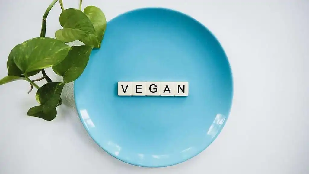 How To Gain Weight On A Vegan Diet: 10 Healthy Vegan Food Options For Weight Gain 8 how to gain weight on a vegan diet