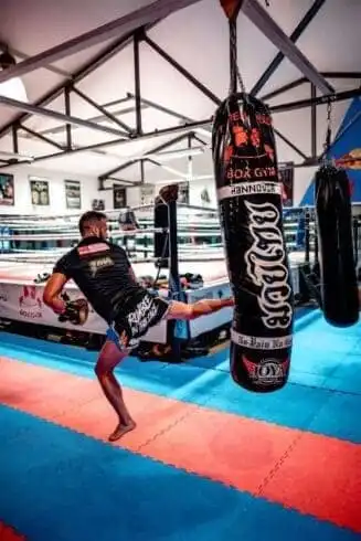 13 Legendary Women MMA Fighters 8 13 Legendary Women MMA Fighters 5
