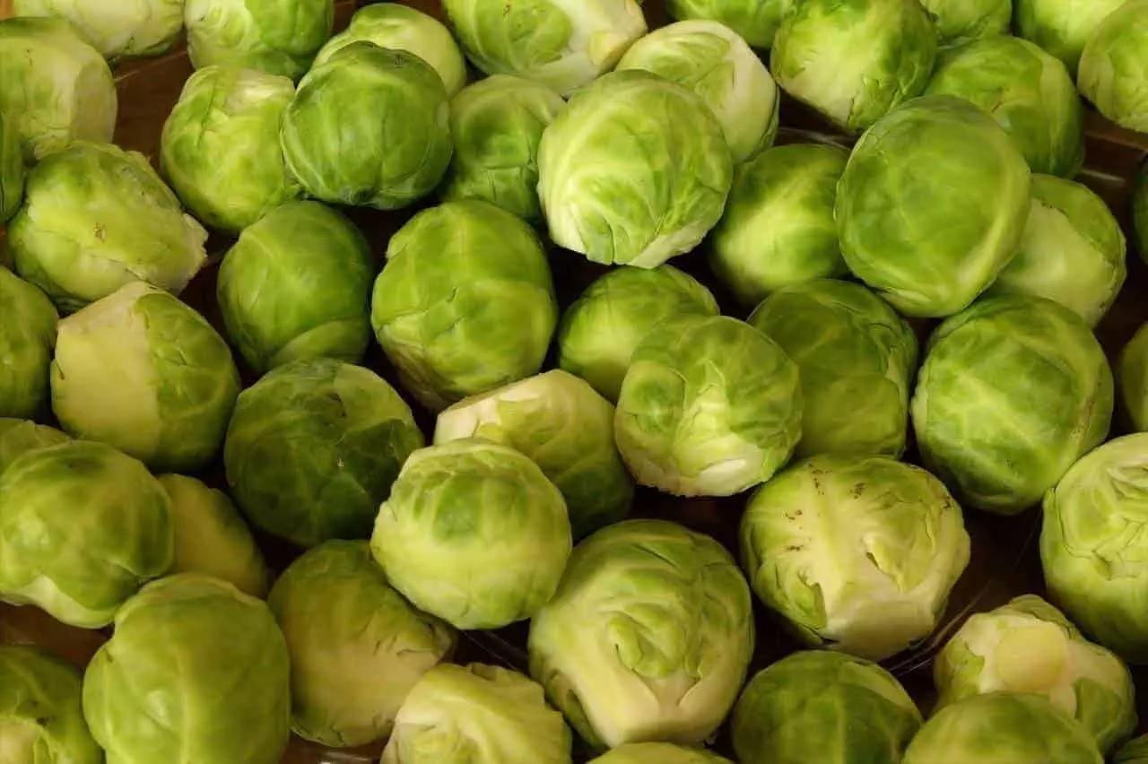 What to Eat with Brussel Sprouts?