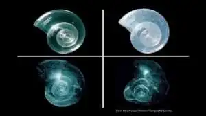 Acidity in Our Oceans! 9 oceans