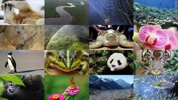Humans-Guardians of the Earth! 8 Source: www.onep.go.th