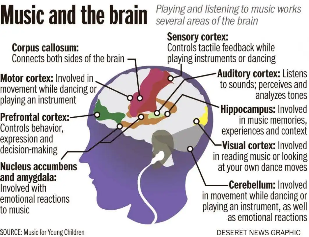 The 7 Benefits of Playing Musical Instruments 11 Image result for musical instruments effect on brain