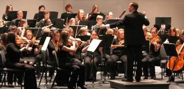 The 7 Benefits of Playing Musical Instruments 15 Image result for orchestra