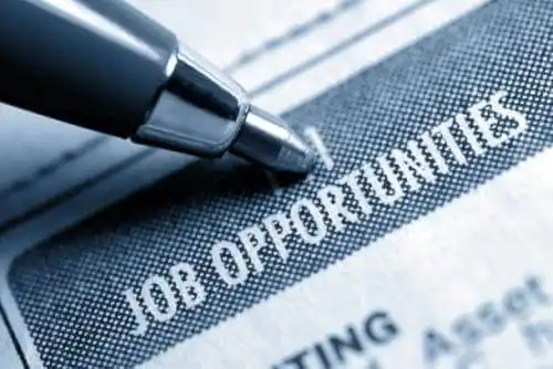How To Stay Organised During A Job Search 1 How To Stay Organised During A Job Search 1