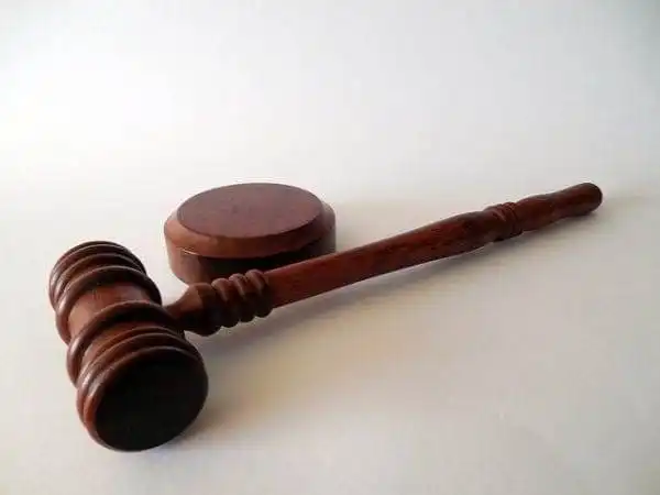 judge judge