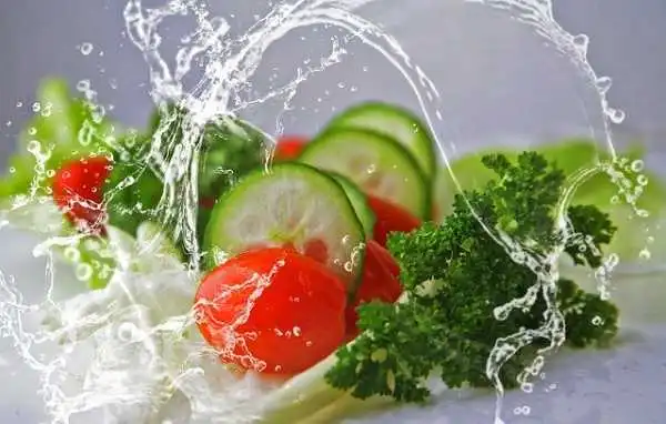 nutrition nutrition