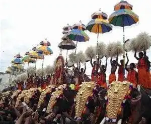 15 Interesting Facts about Malayalees You Didn't Know About 11 15 Interesting Facts about Malayalees You Didn't Know About 8