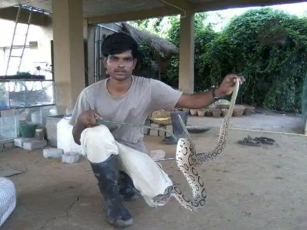 From Village Boy to Wildlife Saviour: In Conversation With Ganesh Chowdhury 6 From Village Boy to Wildlife Saviour: In Conversation With Ganesh Chowdhury 6