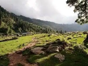 All About Kheerganga That Makes it a Go-to Place! 31 Kheerganga (1)