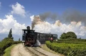 Toy train - Darjeeling