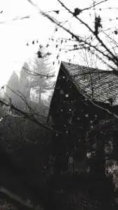 The 8 Movies that Scare Us to Death 13 The 8 Movies that Scare Us to Death 8