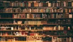 Why Should People Read Books? 10 Why Should People Read Books? 4