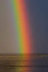 Top 10 Facts about Rainbow Colors You Didn't Know 13 rainbow colors