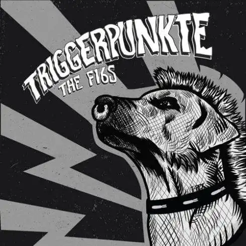 Best 6 Indian English Album Songs for Your Indie Playlist 11 Triggerpunkte - Indian English Album Songs