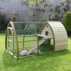 15 Most Expensive Pets to Take Care of! 10 most expensive pets to take care of