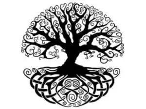 Tree Of Life Meaning In 7 Beautiful Cultures 2 Tree Of Life Meaning In 7 Beautiful Cultures 1