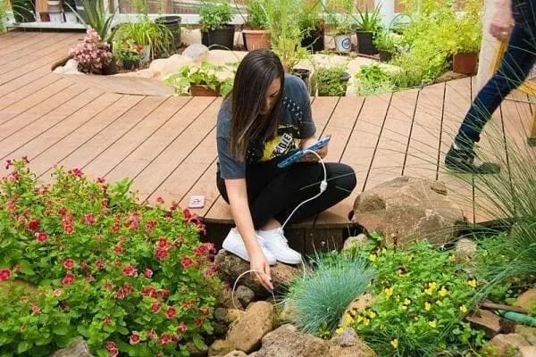 Biophilic Design: Great Tips and Ideas 15 Biophilic Design