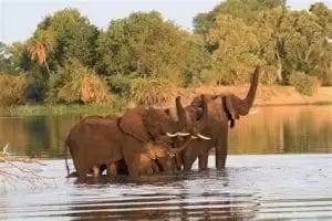 Victoria Falls : 33 Facts That You Did Not Know 11 Mosi oa Tunya National Park