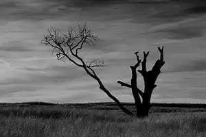 16 incredible photography styles 18 16 incredible photography styles 18