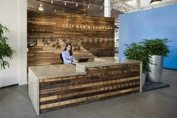 Biophilic Design: Great Tips and Ideas 13 Biophilic Design