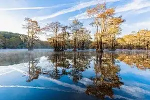 Top 10 East Texas Lakes 8 Lakes
