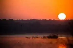 Top 10 East Texas Lakes 11 Lake