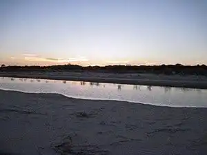 St Simons Island: 5 Captivating Details for Your Next Holiday 7 st simons island