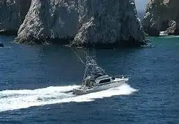 10 Best Deep Sea Fishing Myrtle Beach Charters 10 deep sea fishing myrtle beach
