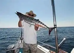 10 Best Deep Sea Fishing Myrtle Beach Charters 7 deep sea fishing myrtle beach