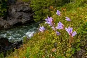 Things To Do In Leavenworth 11 Gorge