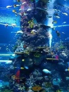 Aquarium explaining the depth of oceans